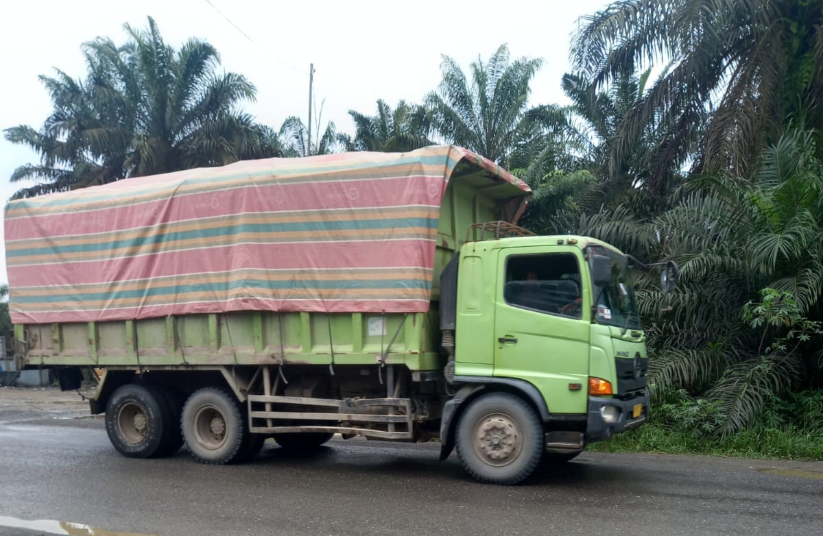 Pengusaha Angkutan Batu Bara Lintasan Tebo Tungkal Ulu Diduga