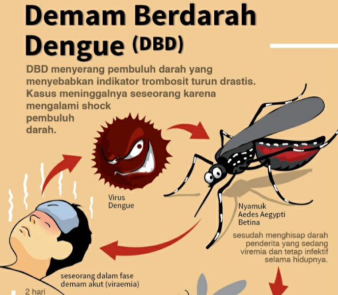 Foto: Ilustrasi. Dinas Kesehatan kota Bekasi melakukan pencegahan penyakit DBD/Mulyono Suara Utama ID