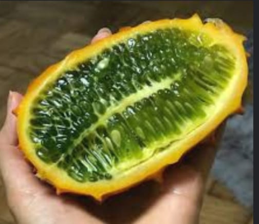 Foto: Google/Berbagai Sumber. Mencari Buah Kiwano atau Melon Tanduk di Indonesia, Buah yang Menyimpan Manfaat. Mas Andre Hariyanto. 081232729720 (Suara Utama ID).