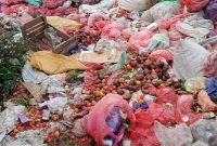 Kondisi tumpukan sampah di TPS Ilegal di area pasar Agro, Rondo, Kabupaten Enrekang. Ahmad Afiq/Suara Utama ID.