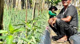 Giat Petani Milenial Kampung Jeumpa Pidie Menuju Desa Smart Farming (SUARA UTAMA)