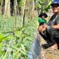 Giat Petani Milenial Kampung Jeumpa Pidie Menuju Desa Smart Farming (SUARA UTAMA)