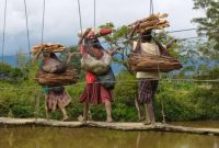 Ilustrasi foto mama-mama Papua yang sedang berjalan diatas jembatan bayu 