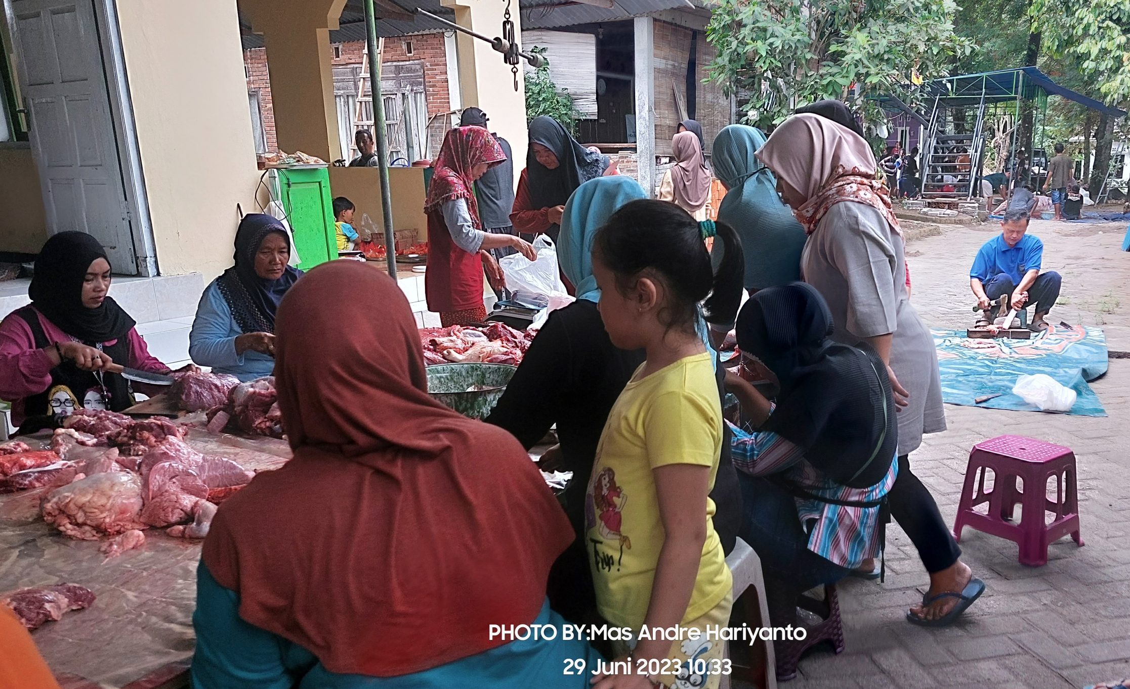 Semarak Idul Adha 1444H, Kampung Pucanganom Yogyakarta Gelar Penyembelihan Kurban. Foto: Mas Andre Hariyanto (SUARA UTAMA)