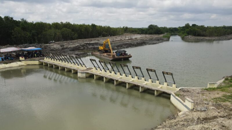 Saluran Irigasi DAM 4 Tambak Dipasena Selesai dinormalisasi.Foto : Dok P3UWL (21/2) (suarautama.id)