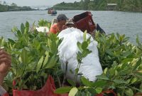 Kelompok Peduli Magrove Kampung Bumi Dipasena Abadi Mempersiapkan bibit mangrove sebelum dilakukan penanaman di garis pantai Kampung Bumi Dipasana Abadi (13/3) Foto: Nafian Faiz (suarautama.id)