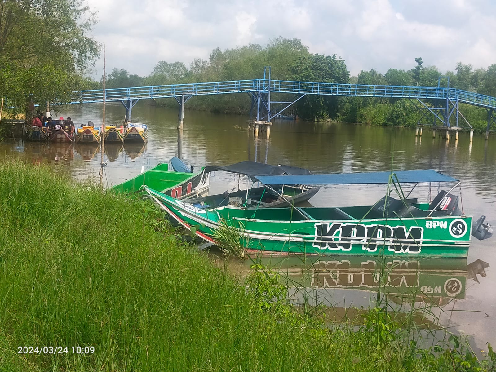 Petani Tambak Udang di Sumatra Selatan Diserang Buaya saat Akan Memanen ...