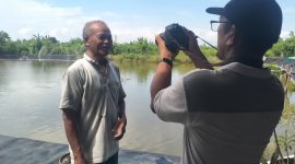 Gede Brata, Petambak Kampung Bumi Dipasena Mulya, Rawajitu Timur, Lampung, Saat Diwawancarai Salah Satu Media Televisi Nasional (12/5) Foto: Nafian Faiz (Suarautama.id)