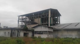 Salah Satu Bekas Gedung Pakan Bestari Indoprima Milik PT CPP yang Dibongkar, Menuai Kontroversi di Internal P3UWL (14/5) Foto: Nafian Faiz  (Suarautama.id)