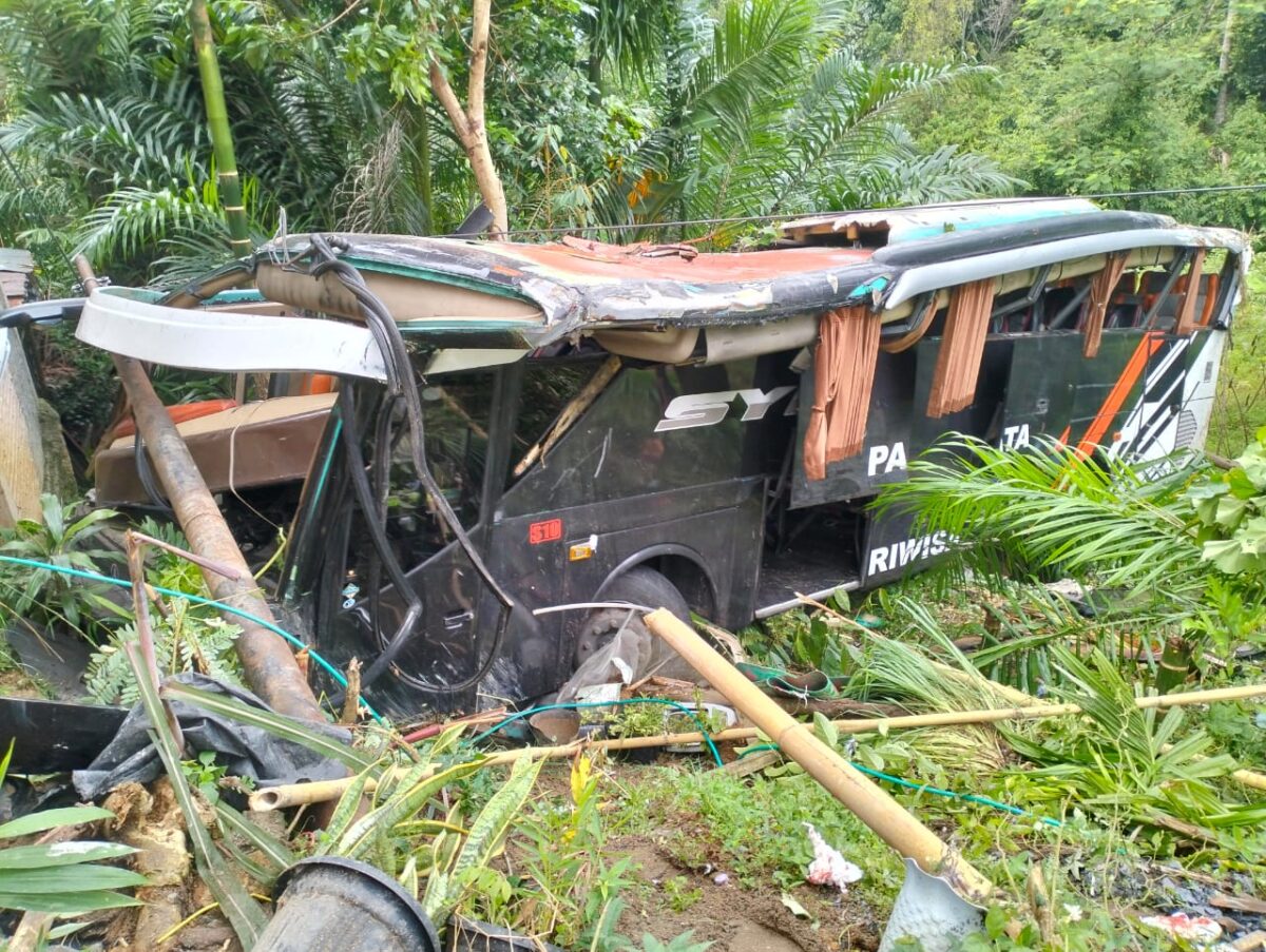 Hendak Ke Musium Lampung Bus Rombongan Studi Tour MI Pesisir Barat Terjun ke Jurang di Tanggamus (22/5) | Suarautama.id