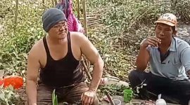 Pantai Timur Kampung Bumi Sentosa, Rawajitu Timur yang sebelumnya Abrasi, kini mulai menghijau kembali (Suarautama.id)