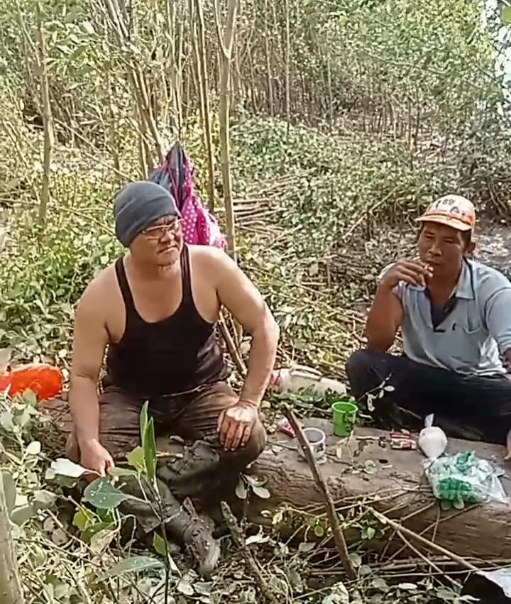 Pantai Timur Kampung Bumi Sentosa, Rawajitu Timur yang sebelumnya Abrasi, kini mulai menghijau kembali (Suarautama.id)