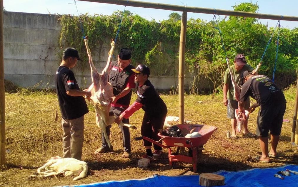 FOTO : Ahmad Yani Pinisepuh Pesantren Bisnis Indonesia Korda Malang dan Agus Wahyudi Wasekjen NGG saat melangsungkan Kurban Idul Adha (Mas Andre Hariyanto/Suara Utama ID)