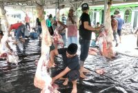 Idul Adha 1445H Petambak Dipasena Lampung Sembelih 26 Sapi dan 123 Kambing Kurban: Suara utama.id