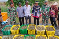 Camat Rawajitu Timur Tulang Bawang Lampung Menyaksikan Panen Udang Vanamei Program Ketahanan Pangan Dana Desa Kampung Bumi Dipasena Abadi (28/6): Suarautama.id.