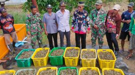 Camat Rawajitu Timur Tulang Bawang Lampung Menyaksikan Panen Udang Vanamei Program Ketahanan Pangan Dana Desa Kampung Bumi Dipasena Abadi (28/6): Suarautama.id.