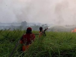 Foto Danru Manggala Agni dan tim saat memadamkan api