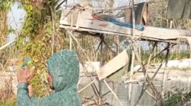 Foto: Lokasi aktivitas PETI di Desa Mentawak