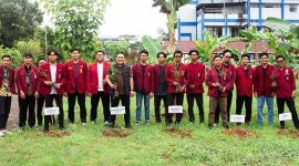 DPP IMM Tanam 2 Juta Pohon