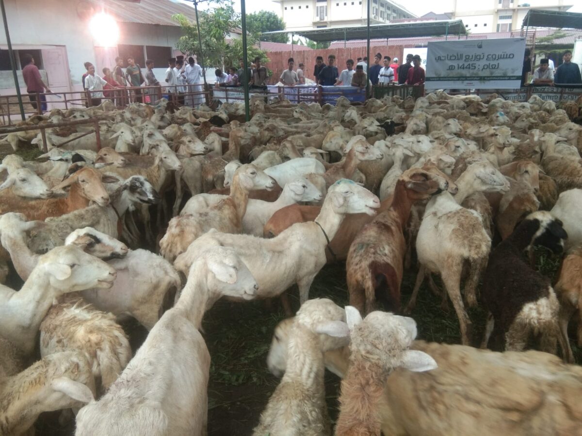 Foto Dokumentasi STAI Assunah : Pengabdian Kegiatan Masyarakat Sekolah Tinggi Agama Islam Assunah Tebar Kurban 1445 H