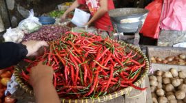 Ilustrasi Kenaikan Harga Bahan Pokok || Dok : Pribadi