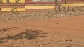 Jalan Simpang Ulak Rengas, Abung Tinggi, Lampung Utara,  Sepanjang 1,5 KM Rusak parah sejak tahun 2004: SUARA UTAMA.ID.