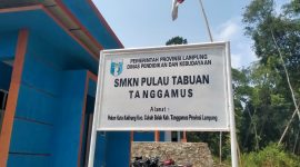 SMKN Pulau Tabuan Mulai Menerima Murid Baru TA 2024-2025. SUARA UTAMA.ID