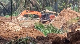 Lokasi Aktivitas PETI di Desa Meranti milik Danang.  Foto: Suara Utama