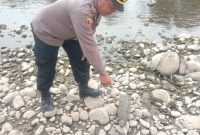 Foto: Penemuan mortir oleh seorang pencari batu di aliran Sungai Klawing wilayah Dusun Keponggok, Kelurahan Wirasana, Kecamatan Purbalingga, Kabupaten Purbalingga, Kamis (15/8/2024) siang.