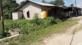 filter: 0; fileterIntensity: 0.0; filterMask: 0; brp_mask:0;
brp_del_th:null;
brp_del_sen:null;
delta:null;
module: portrait;hw-remosaic: false;touch: (0.22249982, 0.41916656);sceneMode: 0;cct_value: 0;AI_Scene: (-1, -1);aec_lux: 0.0;aec_lux_index: 0;HdrStatus: auto;albedo:  ;confidence:  ;motionLevel: -1;weatherinfo: null;temperature: 41;