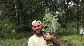 (Ilustrasi Foto: Alam adalah Pasar bagi Orang Papua)
