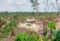 Foto: Lokasi Penambangan Emas Ilegal Milik Ramoi