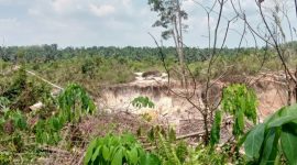 Foto: Lokasi Penambangan Emas Ilegal Milik Ramoi