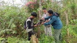 Tim pemasangan kamera di lokasi guna memantau pergerakan Kemunculan Beruang Madu di Lampung Barat (10/10/2024)