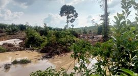 Foto; Aktivitas PETI milik Tugiman di Desa Sungai Ulak, Kabupaten Merangin, Jambi
