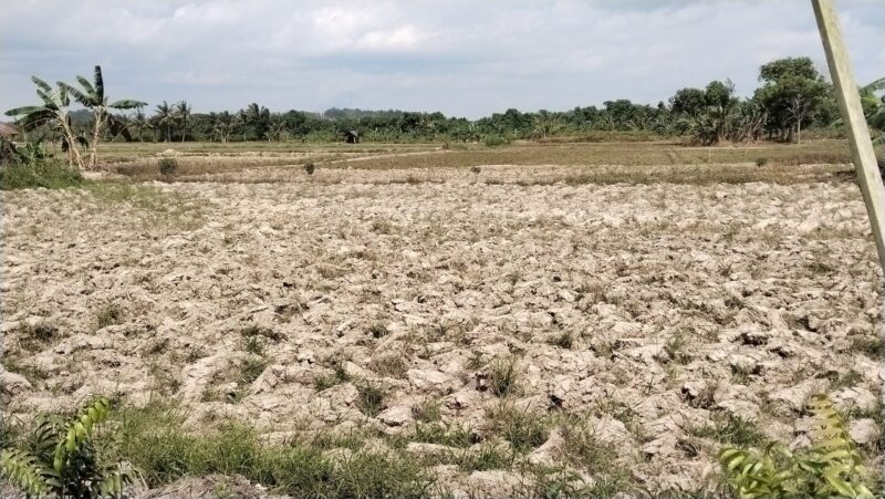 filter: 0; fileterIntensity: 0.0; filterMask: 0; brp_mask:0;
brp_del_th:null;
brp_del_sen:null;
delta:null;
module: portrait;hw-remosaic: false;touch: (-1.0, -1.0);sceneMode: 0;cct_value: 0;AI_Scene: (-1, -1);aec_lux: 0.0;aec_lux_index: 0;HdrStatus: auto;albedo:  ;confidence:  ;motionLevel: -1;weatherinfo: null;temperature: 41;