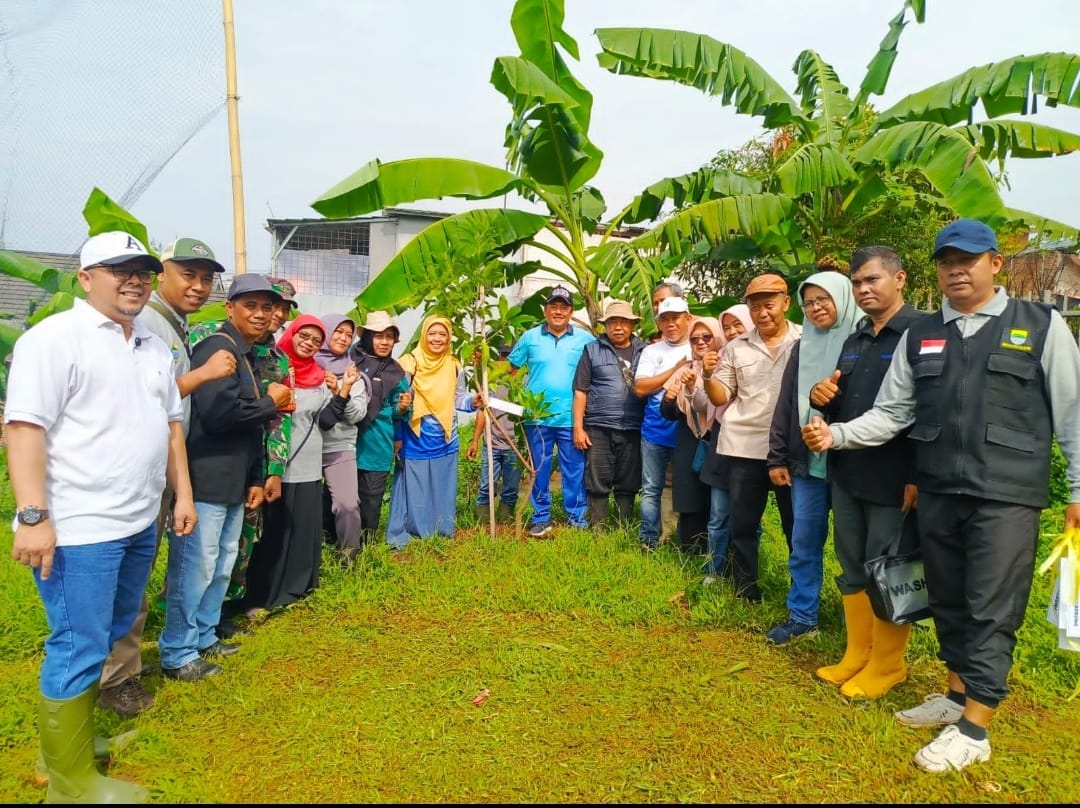 Gambar WhatsApp 2024 11 23 pukul 12.15.15 5191b57f Pemerintah kota bandung gencar giat program tanam 1000 pohon Suara Utama ID Mengabarkan Kebenaran | Website Resmi Suara Utama