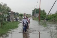 Anak Nelayan Pulang Sekolah Saat Jalan Digenangi Air. (Nafian Faiz) Suarautama.id