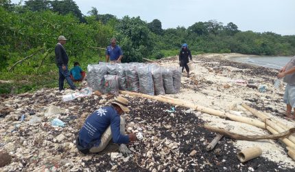 20241229 110317 Tumpahan Batu Bara di Pulau Popole: Seruan Keadilan Lingkungan dan Transparansi Perusahaan Suara Utama ID Mengabarkan Kebenaran | Website Resmi Suara Utama