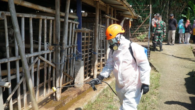 Foto: Kodim Purbalingga dan Relawan Semprot Kandang Ternak dengan Eco Enzyme, Minggu (19/1/2025)