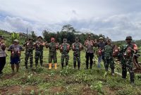 Foto: Dandim 0702/Purbalingga Letkol Inf Untung Iswahyudi, S. Sos., M. Hum., M. Han bersama petani talas melaksanakan panen perdana di Lahan Pertanian Desa Bantarbarang, Kecamatan Rembang, Kabupaten Purbalingga. Selasa (14/1/25).