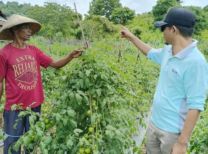 Foto: Kepala Desa Batu Bulan Dukung Program Ketahanan Pangan