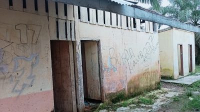 IMG 20250312 152917 Miris, Sekolah Tidak Miliki Toilet, Siswa SDN 101 Sungai Ulak ll Buang Air Kecil di Kebun Suara Utama ID Mengabarkan Kebenaran | Website Resmi Suara Utama