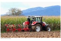 Gambar Ilustrasi Aktivitas Ekonomi (Pixabay)