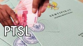 CREATOR: gd-jpeg v1.0 (using IJG JPEG v62), quality = 82?