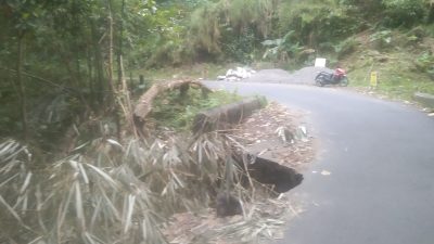 IMG 20250819 171858 Mauponggo–Boawae Terancam Lumpuh Total Jembatan Yobo Gobe di ujung tanduk Suara Utama ID Mengabarkan Kebenaran | Website Resmi Suara Utama