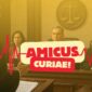 Ilustrasi peran Amicus Curiae, pihak independen yang memberi pandangan hukum bagi pengadilan.