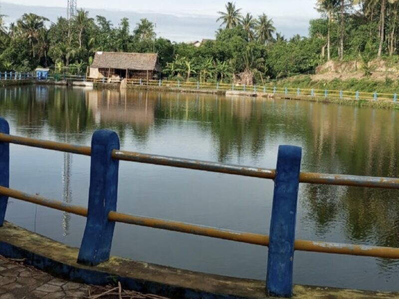 Foto: Embung Ombe, Desa Mamben Daya, Kecamatan Wanasaba