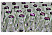 Gambar Ilustrasi dari Pixabay