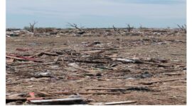 Gambar Ilustrasu Bencana Alam(Pixabay)